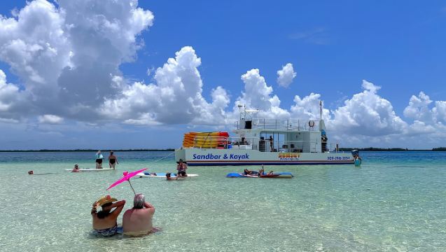 All-inclusive Sandbar Safari met ontmoeting in Dolphin Playground