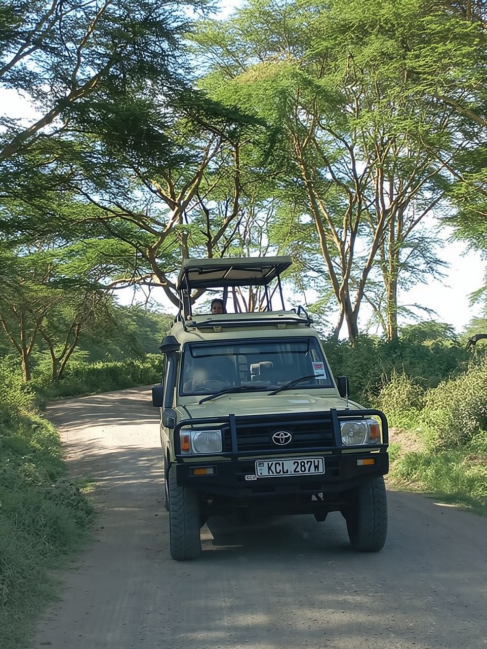 Chuyến đi trong ngày đến Công viên quốc gia Hồ Nakuru từ Nairobi