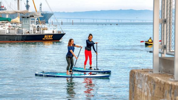 Tour the San Francisco Bay by Kayak or Paddle Board!