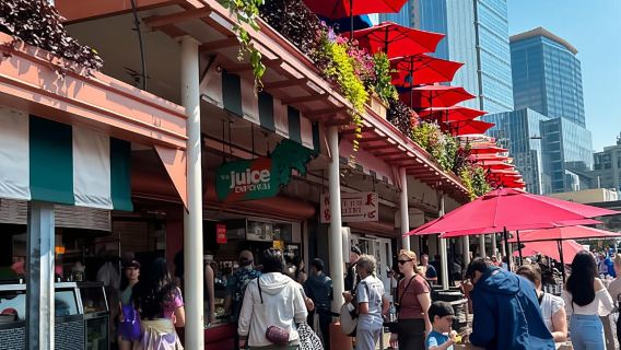 Seattle: Recorrido por lo más destacado de la ciudad