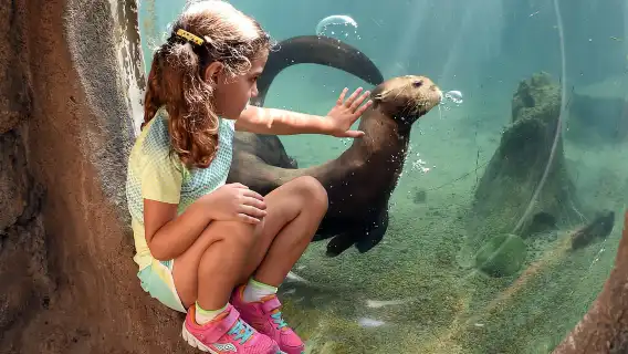 Zoo Miami: General Admission Ticket