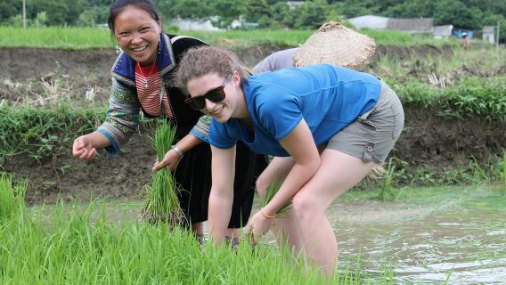 사파: 무옹호아 계곡 트레킹과 지역 소수민족 마을