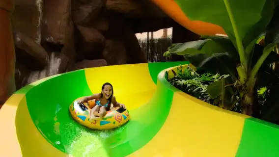 Costa Adeje: Aqualand Water Park Ticket with Dolphin Show