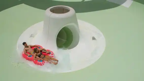 Costa Adeje: Aqualand Water Park Ticket with Dolphin Show