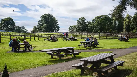Hadrian's Wall: Chesters Roman Fort and Museum Entry Ticket