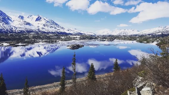Avventura selvaggia nello Yukon + tour delle cime