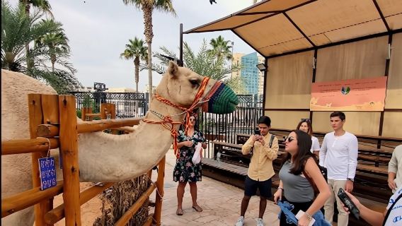 Dubai: Tur Kota Setengah Hari, Museum Masa Depan, Masjid Biru & Burj