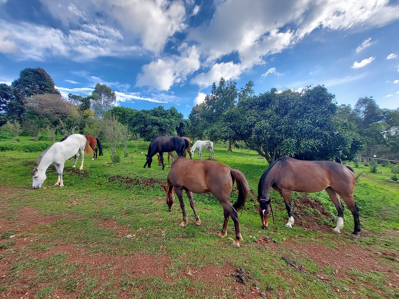 Kigali: Denai Menunggang Kuda di Gunung Kigali