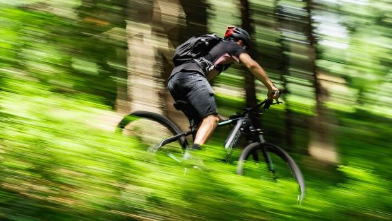 Halbprivate Offroad-E-Bike-Tour in den Budaer Bergen