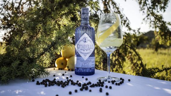 Lawati Kilang Penyulingan Gin Citadelle