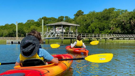 Hilton Head: Geführte Kajak-Naturtour mit Wildtierbeobachtung