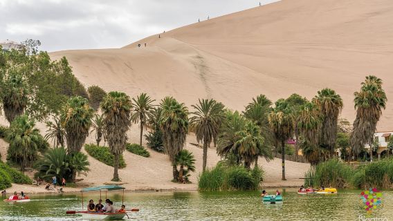 Aventure en buggy dans le désert de Huacachina : depuis Ica !