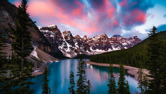 From Canmore/Banff: Moraine Lake Sunrise & Lake Louise Tour