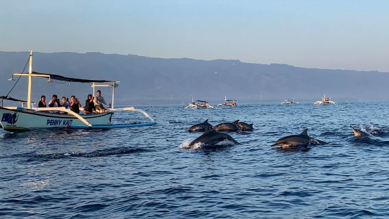 ทัวร์ 1 วัน บาหลีที่หาดโลวินาแบบไปเช้าเย็นกลับ [ชมพระอาทิตย์ขึ้นเหนือทะเล ภูเขาไฟ น้ำพุร้อน + นาขั้นบันได บริการรับส่งส่วนตัว]