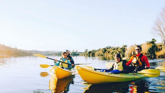 Lago Karapiro: tour nocturno en kayak con luciérnagas