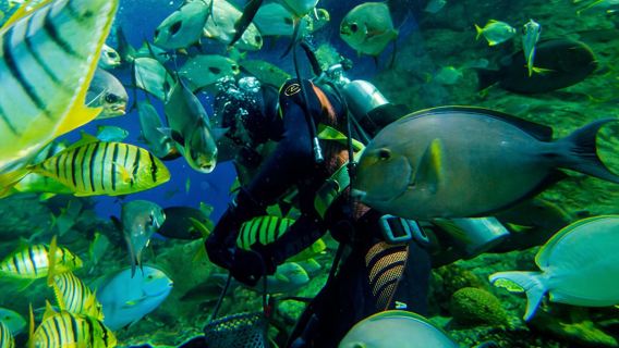 Under Water World - Ticket with Transfer