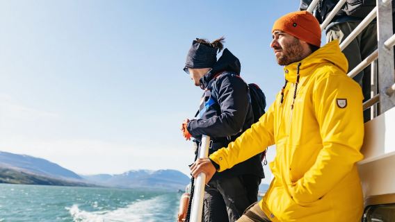 3hr Classic Whale Watching Adventure in Akureyri, Iceland - Speedboating in Eyjafjörður