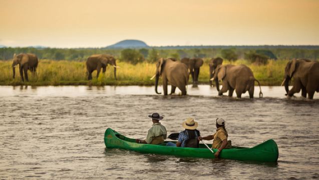 8-Hour Kayaking [Livingstone, Zambia | Canoe Camping Adventure on the Zambezi River]