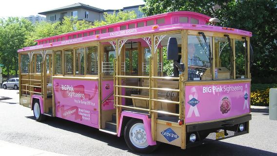 Входной билет на двухдневную экскурсию Gray Line Pink Trolley Hop-On Hop-Off.