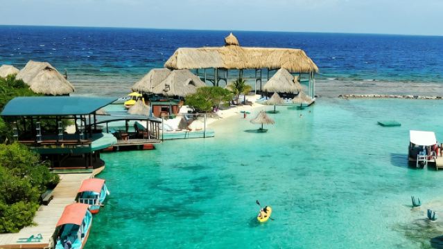 Roatan Shore Excursion: Kayak Harbor Adventure and Reef Snorkel