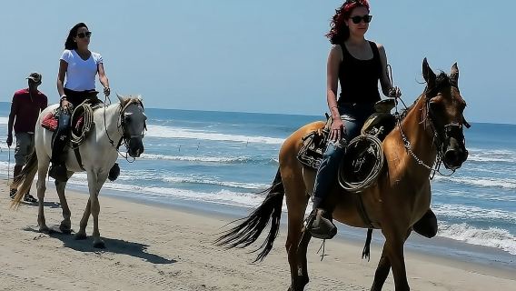 Afro-Mex Village Experience -Horseback Ride -Turtle Hatch & Crocs