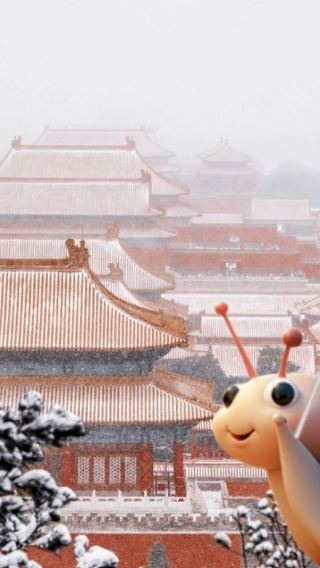 Beijing Tiananmen Square+The Palace Museum + Treasure Gallery Half-Day Tour|Tickets included/Optional English guide