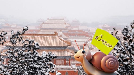 Half-Day Tour of the Palace Museum and the National Treasure House | Free Tiananmen Square Reservation (Optional Chinese and English Guide)