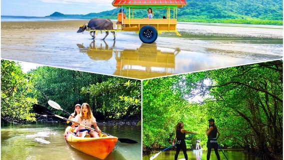 Okinawa Iriomote SUP or Canoe and Sightseeing in Yubujima Island