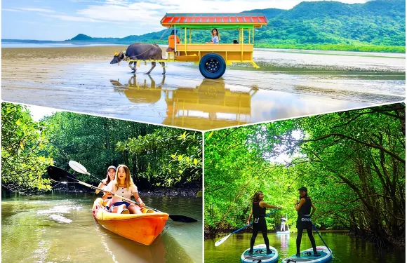 沖繩西表島立槳衝浪或獨木舟之旅，以及在湯布島觀光