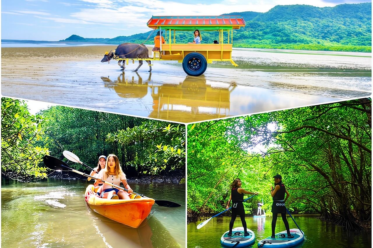 Okinawa Iriomote SUP or Canoe and Sightseeing in Yubujima Island