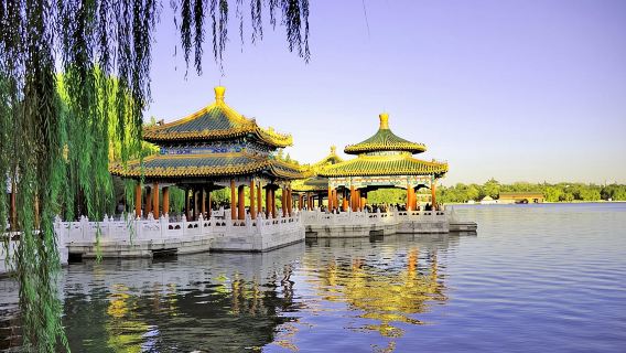 Private Custom Tour or Private Tour: Beijing in One Day