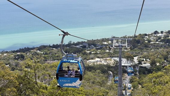 Mornington Peninsula Tour inc chairlift,beach boxes,lunch,choc tasting and more