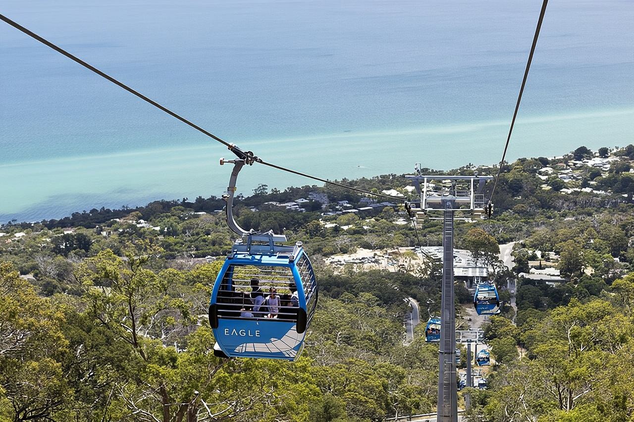 Tour della penisola di Mornington con seggiovia, cabine sulla spiaggia, pranzo, degustazione di cioccolato e altro ancora