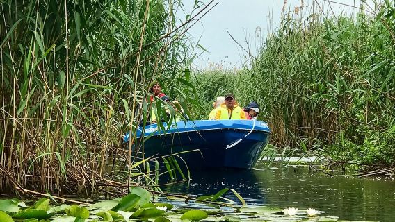 Danube Delta - Private Tour with Boat Trip & Traditional Lunch