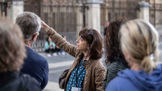 Toledo Private Tour with Local Guide. Pick up in Madrid optional