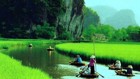 Hà Nội đi Ninh Bình 1 ngày: Tràng An - Tam Cốc - Hang Múa - Hoa Lư