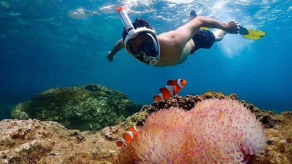 Nemo Island Experience with Drone Photos and Lunch