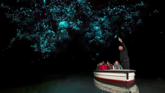 Tour guidato alle grotte di Hobbiton e Waitomo Glowworm da Auckland con pranzo