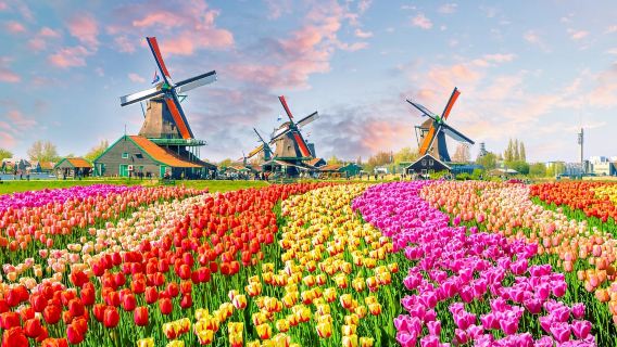 阿姆斯特丹羊角村+贊瑟斯漢斯一日遊【荷蘭風車村-走進童話小鎮