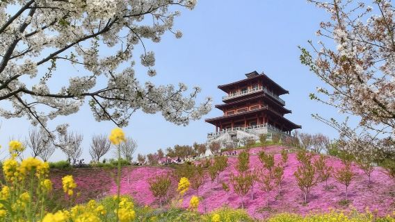 Songshan Mountain + Gubaidu Fengle Cherry Blossoms + Luya Waterfall Scenic Area/Multilingual guide@
