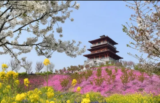 嵩山+古柏渡豐樂櫻花+盧崖瀑布風景區/多國語言導遊@