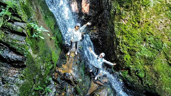 西雙版納基諾山雨林徒步純玩一日遊【獨樹成林/雨林瀑布/傣迪】