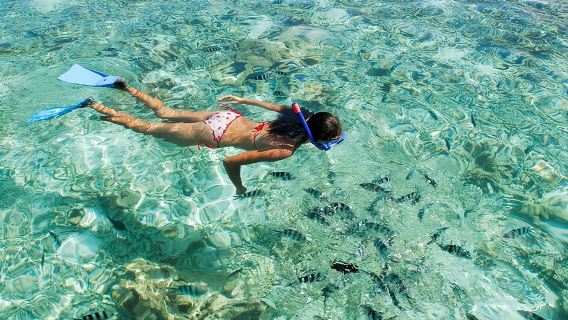 Sehari Penuh Glass Bottom Bottom Excursion inc Makan tengah hari