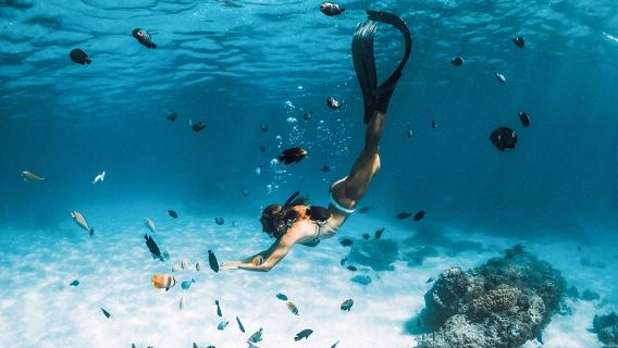 Ко Самуи: однодневный тур на скоростном катере/моторной лодке на Ко Тао и Ко Нанг Юан с плаванием с маской и трубкой, трансфером из отеля и обедом