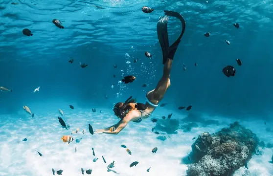 蘇梅島：濤島閣道島+南園島一日遊快艇出海浮潛 酒店接送含午餐