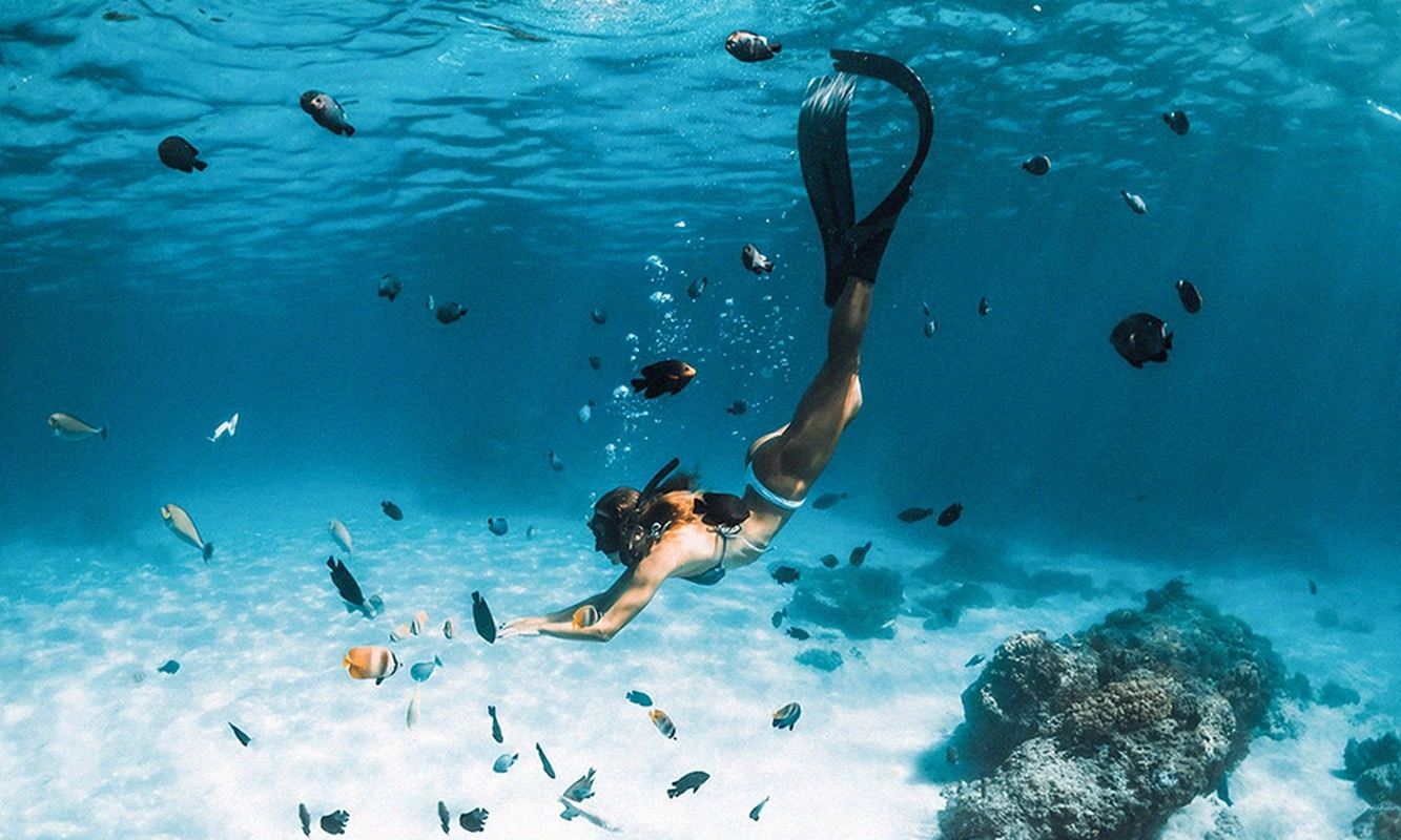 Koh Samui: Tagesausflug mit Schnellboot zu Koh Tao und Ko Nang Yuan zum Schnorcheln inklusive Hoteltransfer und Mittagessen