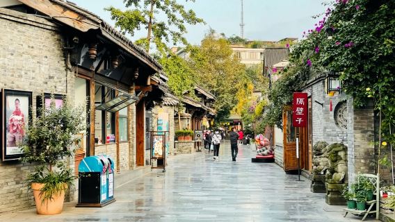 ChengduTravel Services
