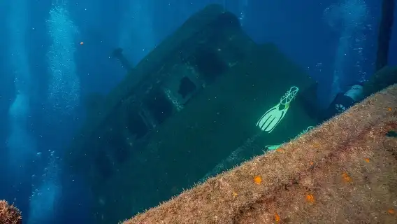 Guided Boat Dives for Certified Divers