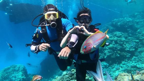 [전 섬 픽업/방콕 픽업 가능 프라이빗 해변] 파타야 꼬란섬 당일 치기 여행 스노클링 여행 사진 촬영 사격
