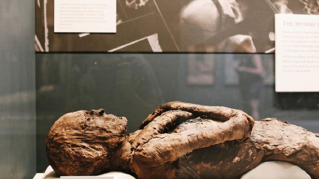 Smithsonian Museum of Natural History - Exclusive Guided Tour 